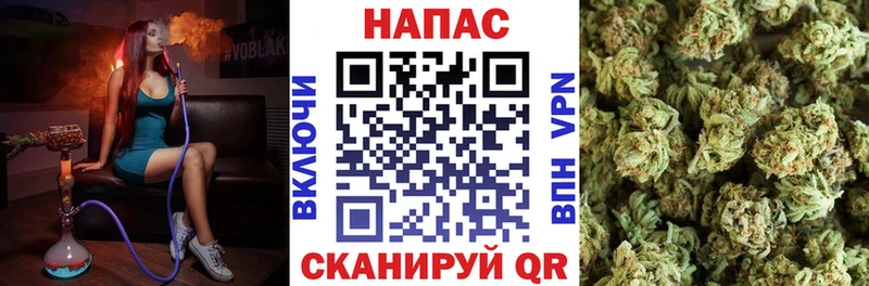 магазин  наркотиков  Приморско-Ахтарск  МАРИХУАНА семена 